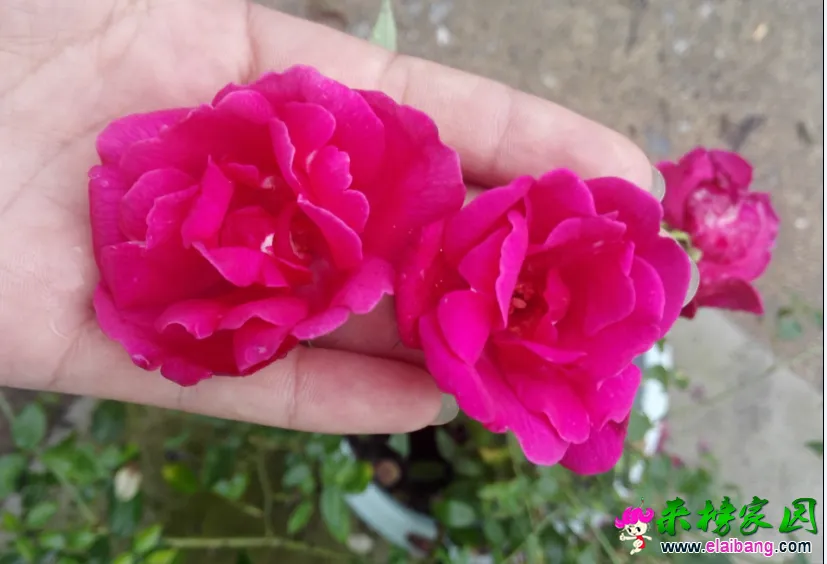 QQ截图20160726090124.webp