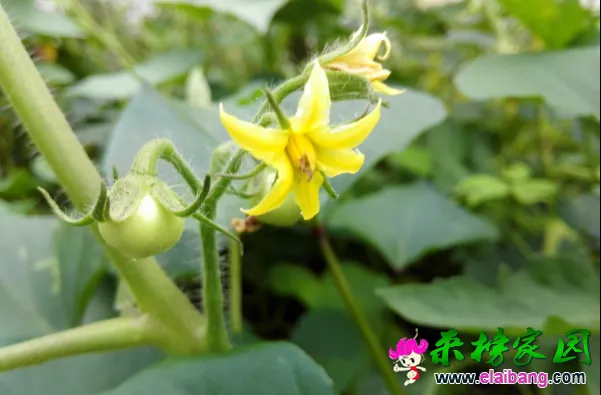 QQ截图20160726091200.webp