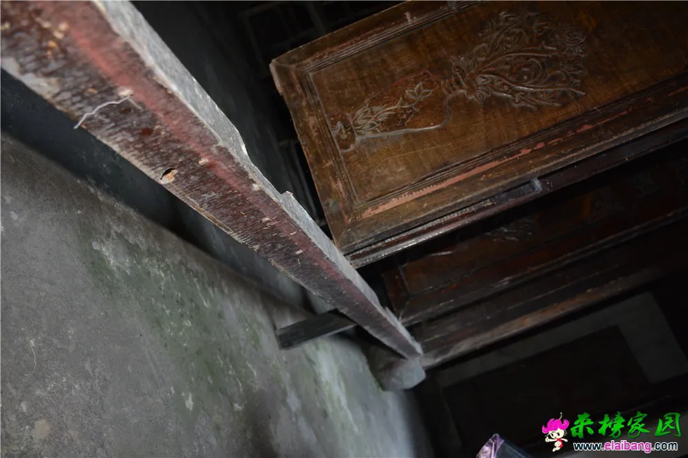 DSC_7149.webp