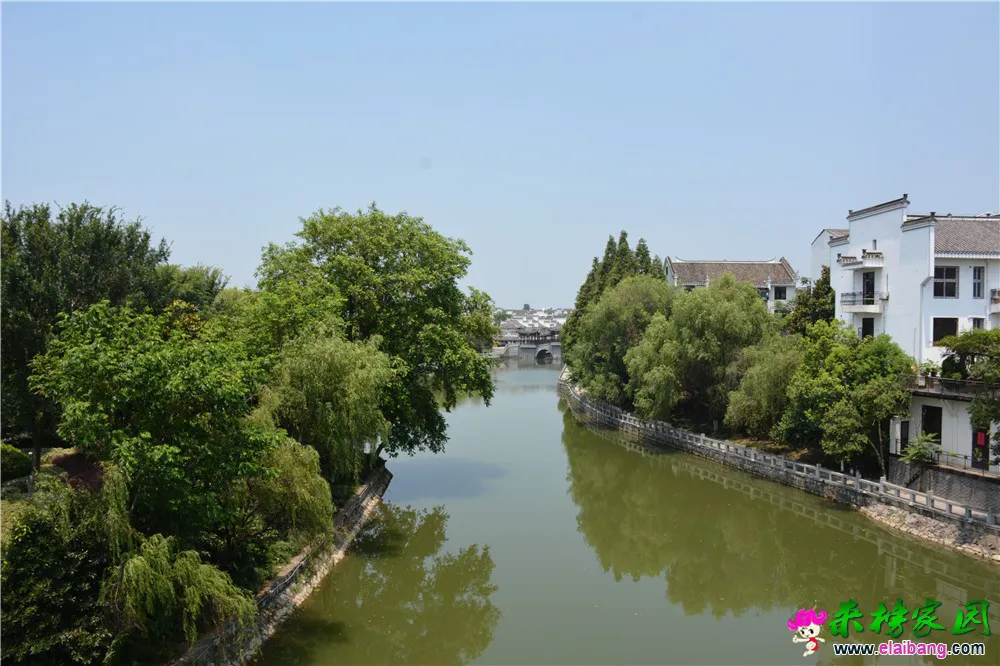 DSC_7206.webp