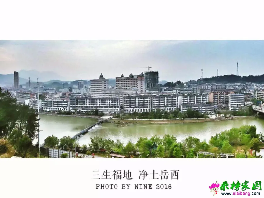 QQ图片20160729100335.webp
