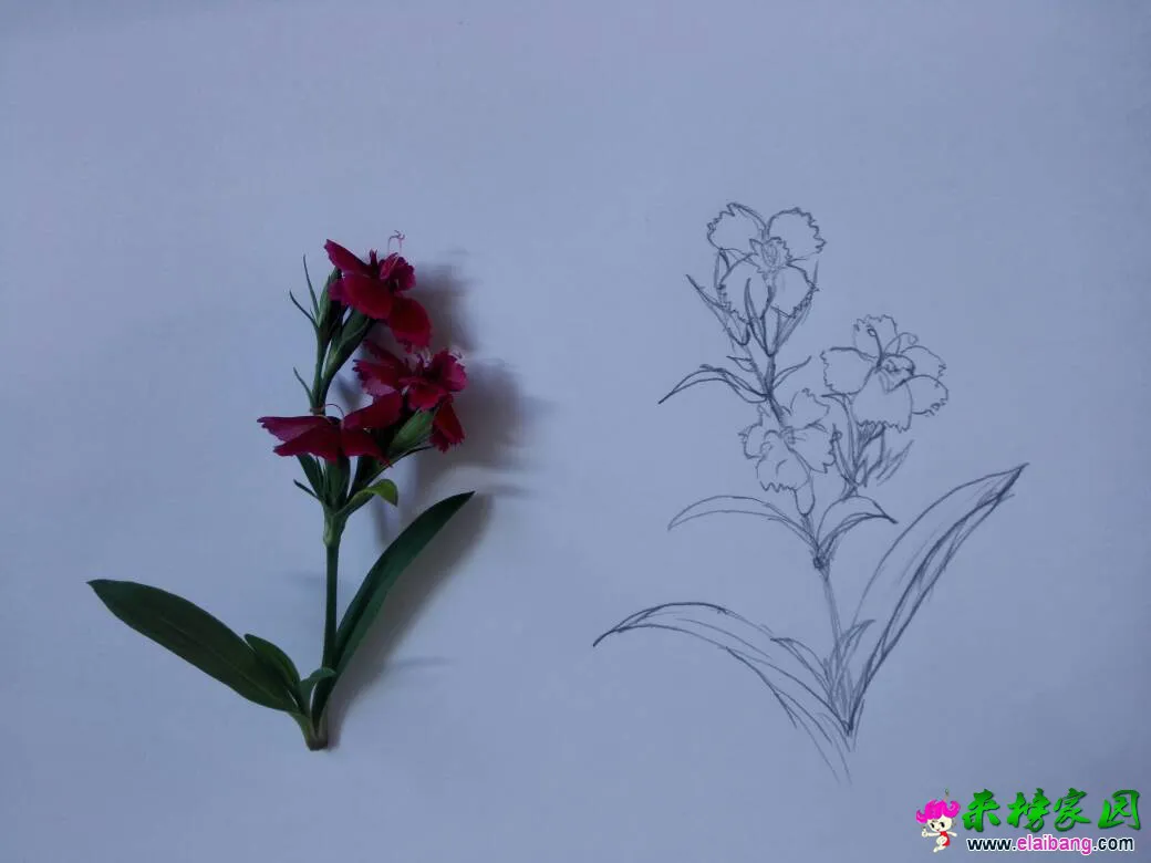 112243zjyyjs5b5sbqajcu.webp