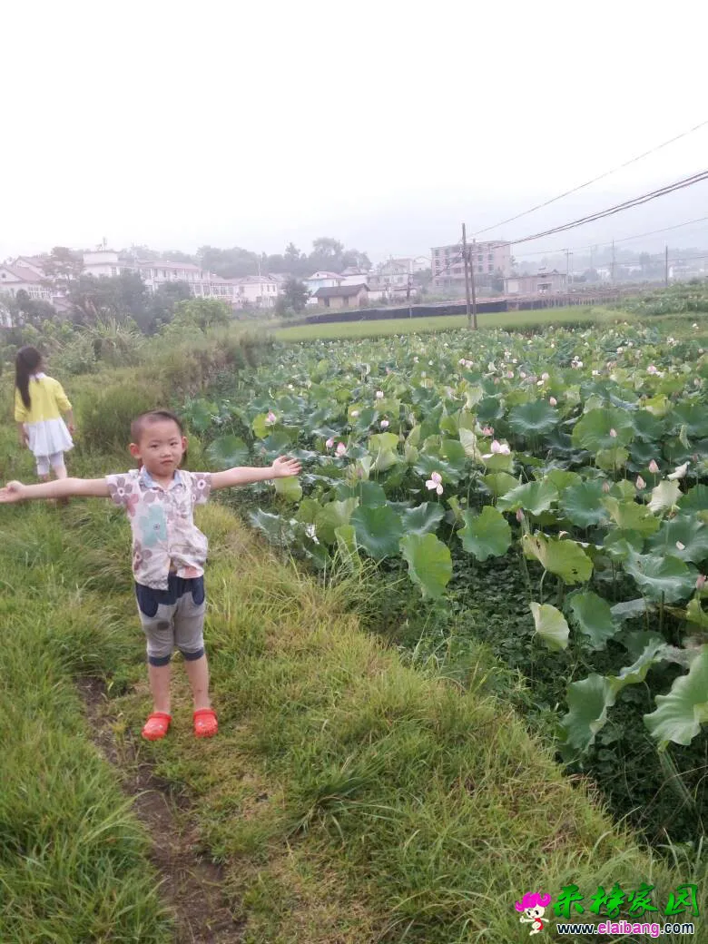 195545a8sy6ffa59a09uu1.webp