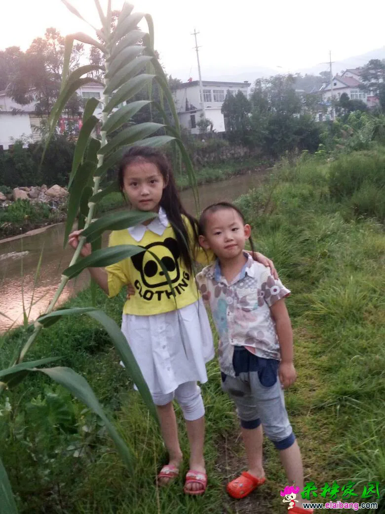 195546iqhji0xu8ub66kh0.webp