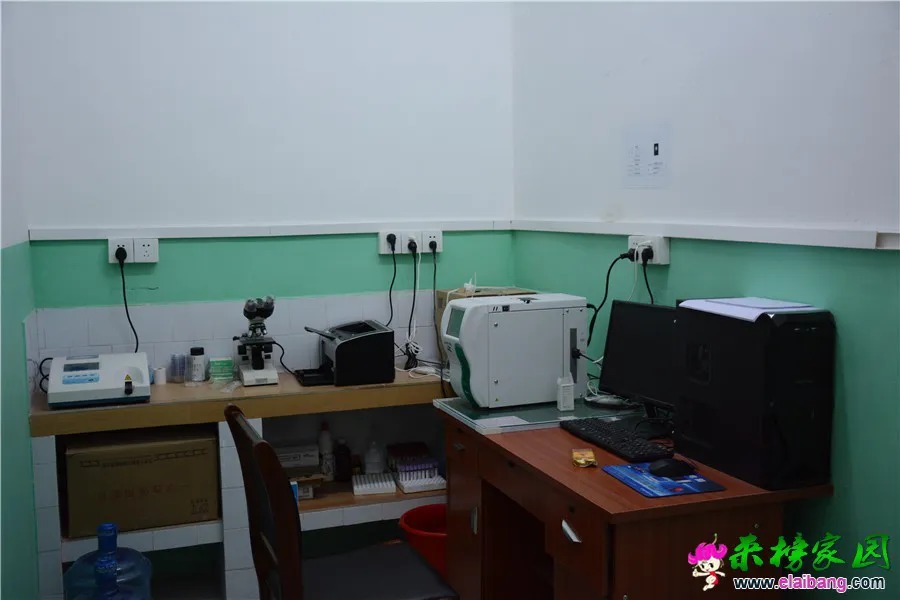 DSC_7418.webp