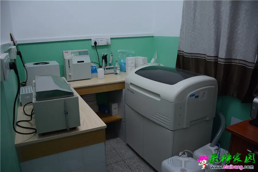 DSC_7417.webp