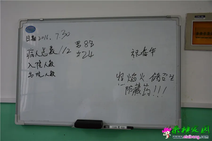 DSC_7330.webp