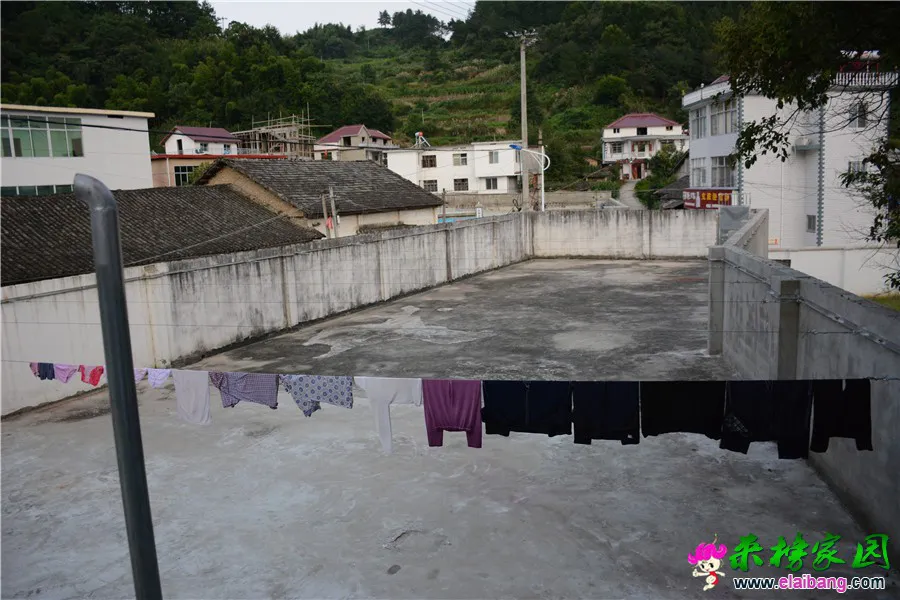 DSC_7408.webp