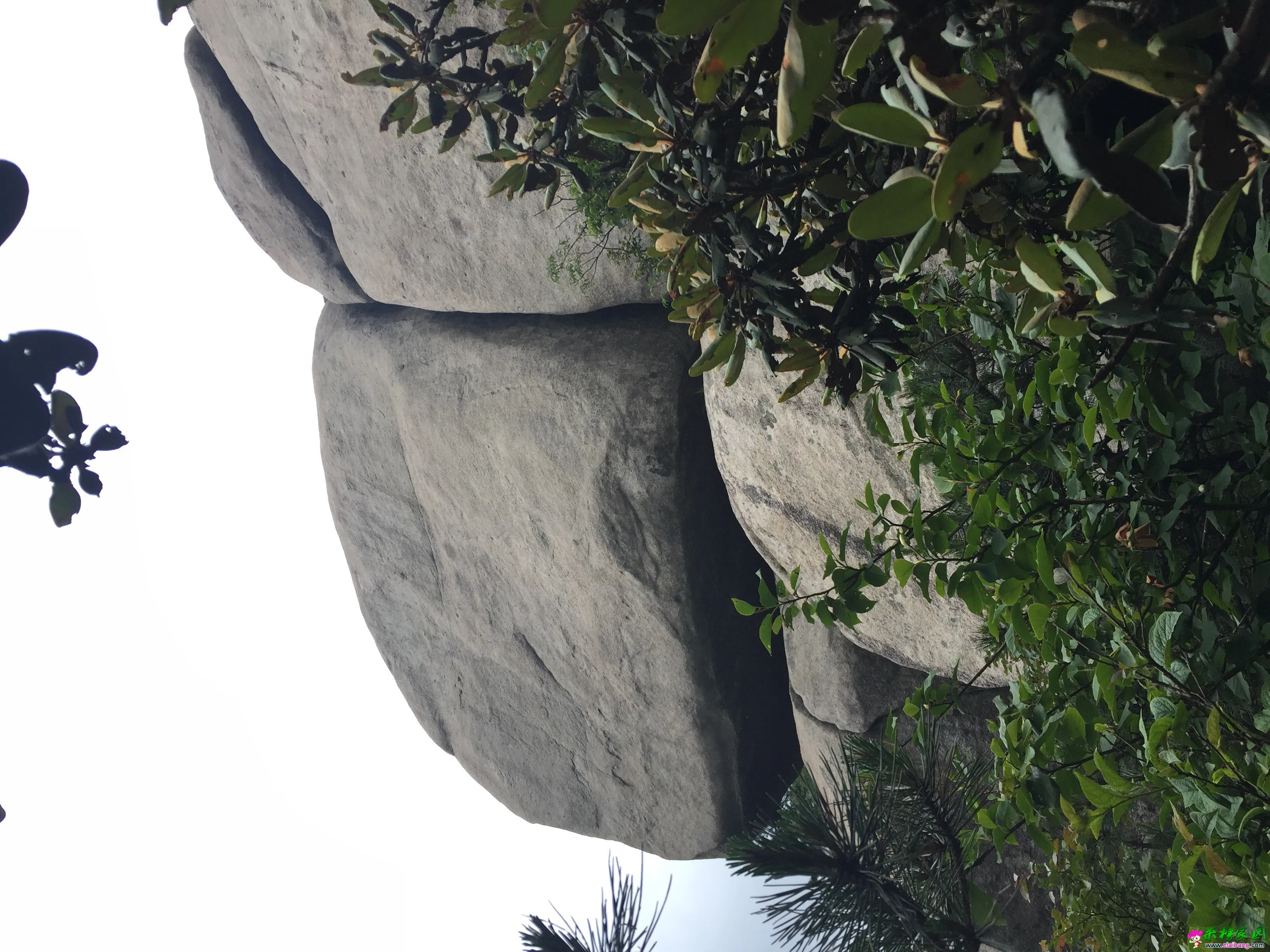 照片看起来不大，实际很大一块石头