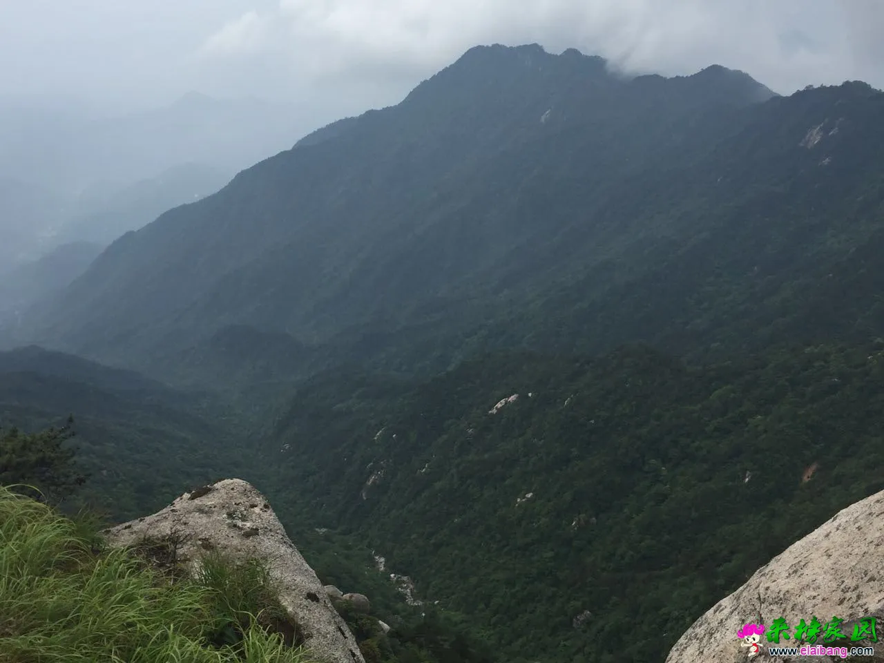 对面是东河冲林场，反正我也看不出来这是哪个地方，出没出岳西