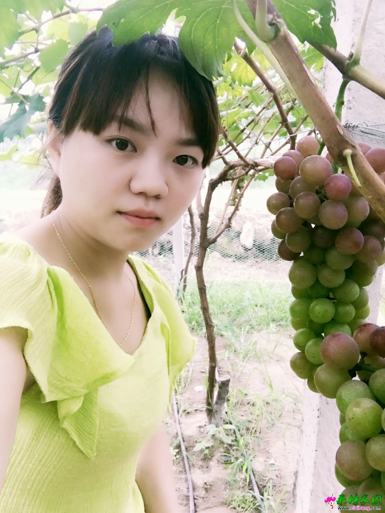 QQ图片20160803183951.webp