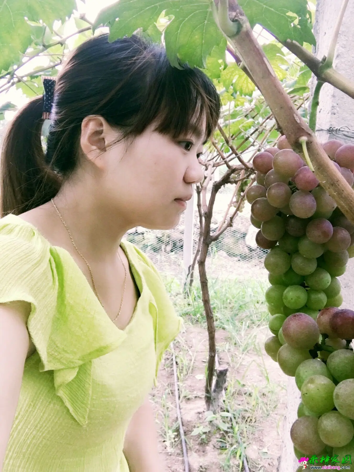 QQ图片20160803184204.webp