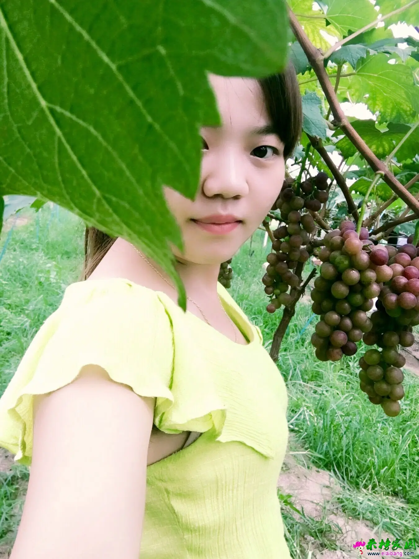 QQ图片20160803184214.webp