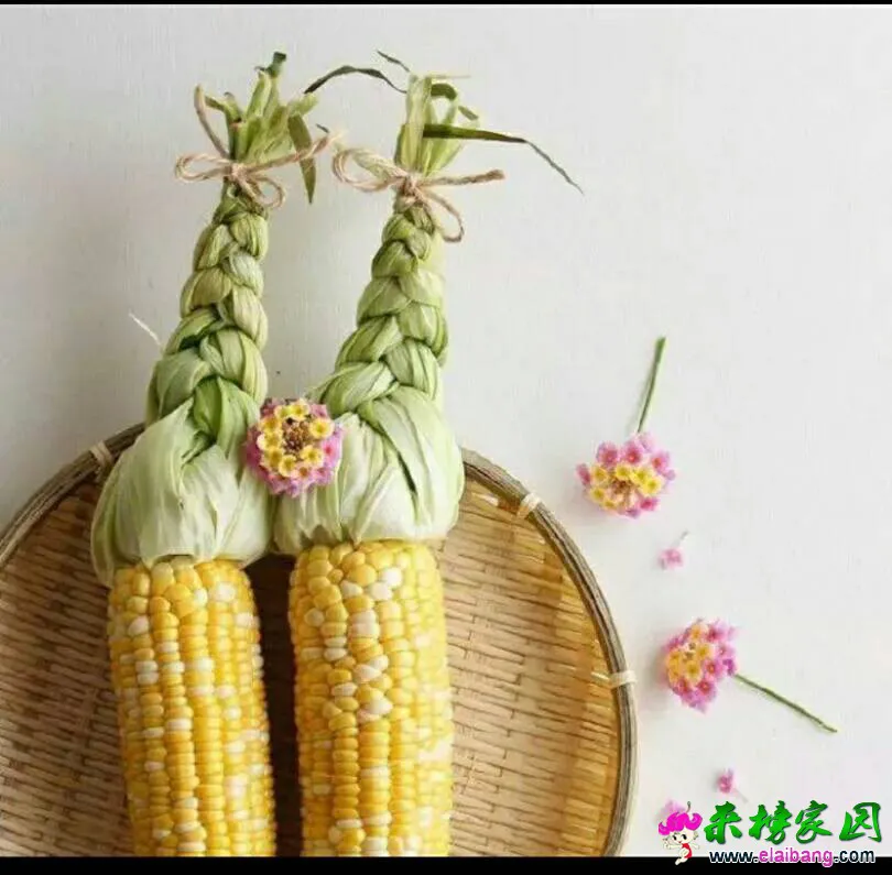 135512mtmhkkkpywjeluaa.webp