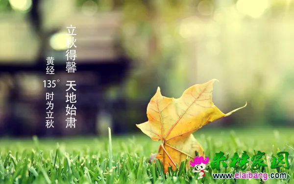 20130809081708_ZWdiC.thumb.600_01.webp