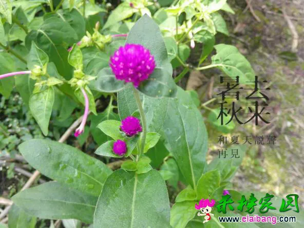 131755xchm5yx5wecclxii.webp