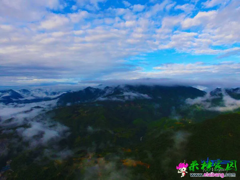 201331hygcypz6daeedcea.webp
