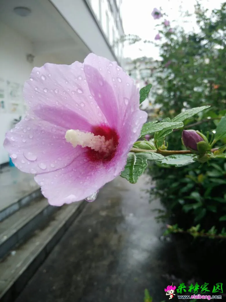 132037nunsisnxiuvv5vu2.webp