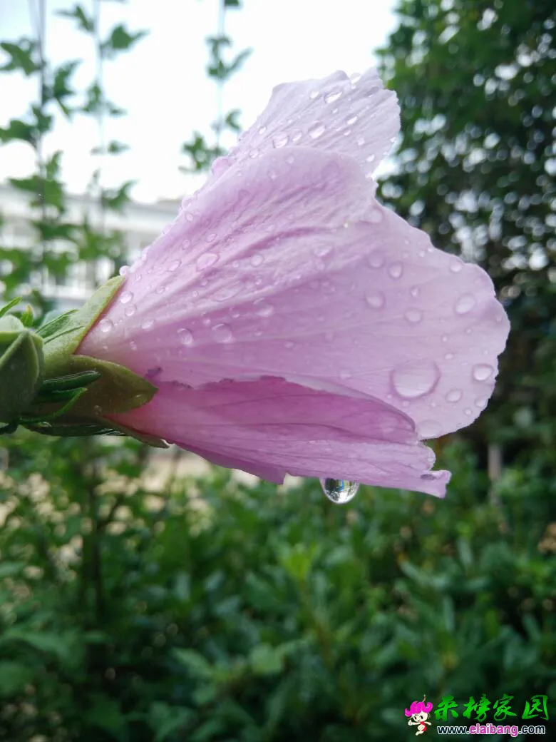 132038x2uks90dm9mo09rw.webp