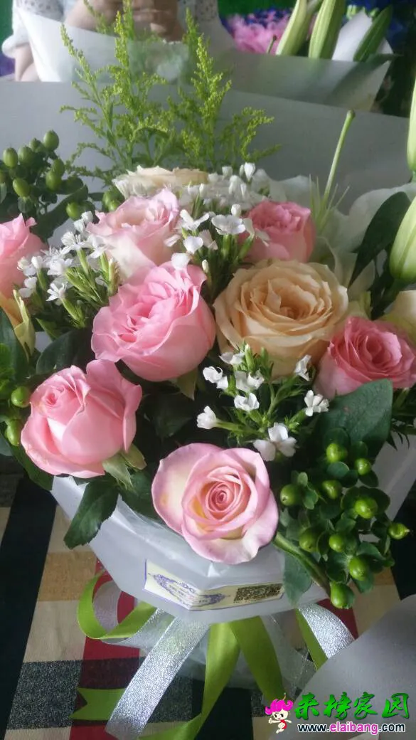 221040t8643xse98t3trrs.webp