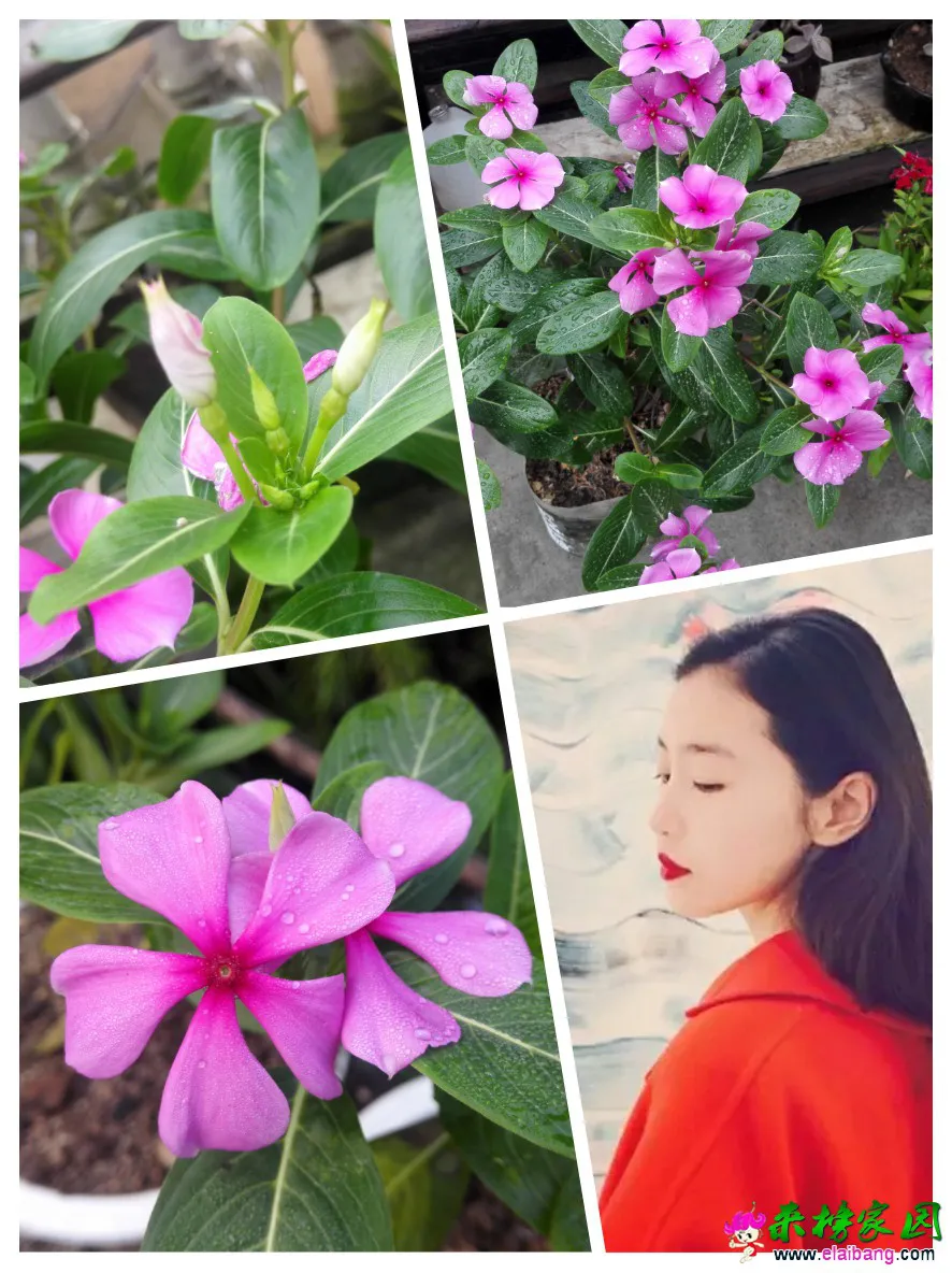 QQ图片20160810104328.webp