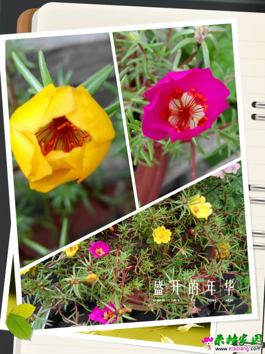 QQ图片20160810104342.webp