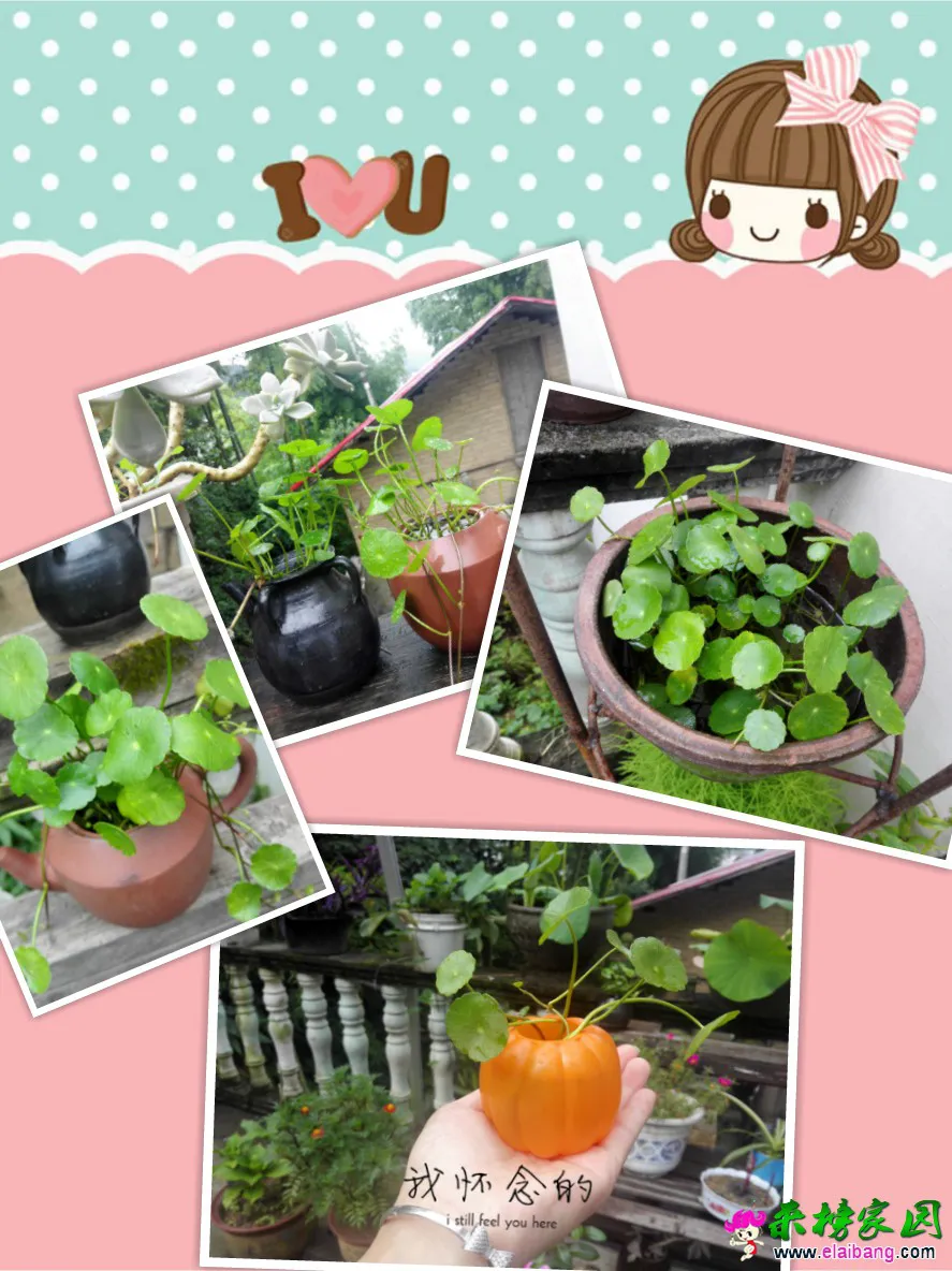 QQ图片20160810104400.webp