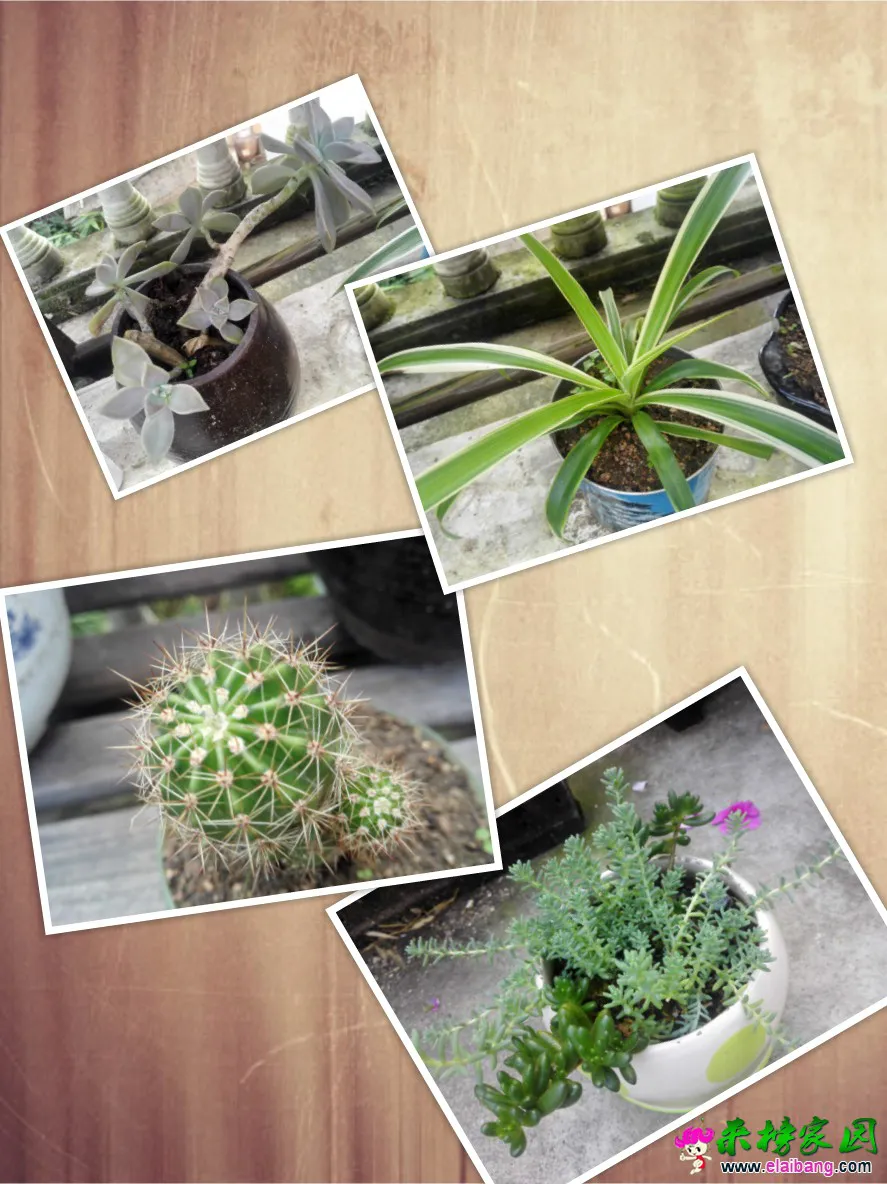 QQ图片20160810104351.webp