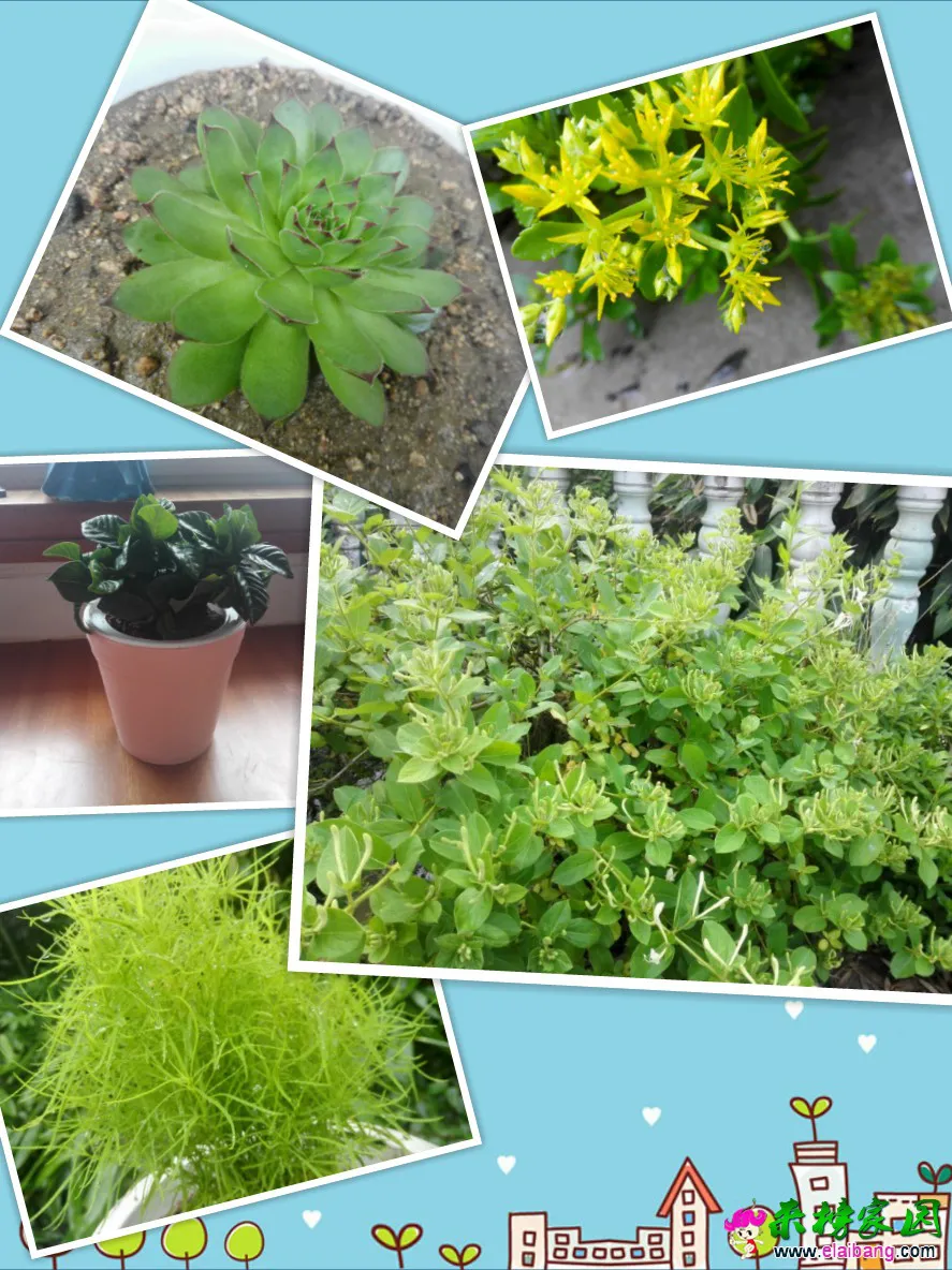 QQ图片20160810104405.webp
