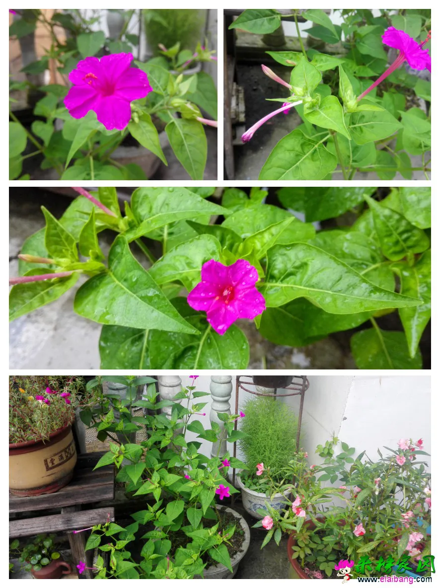 QQ图片20160810104416.webp