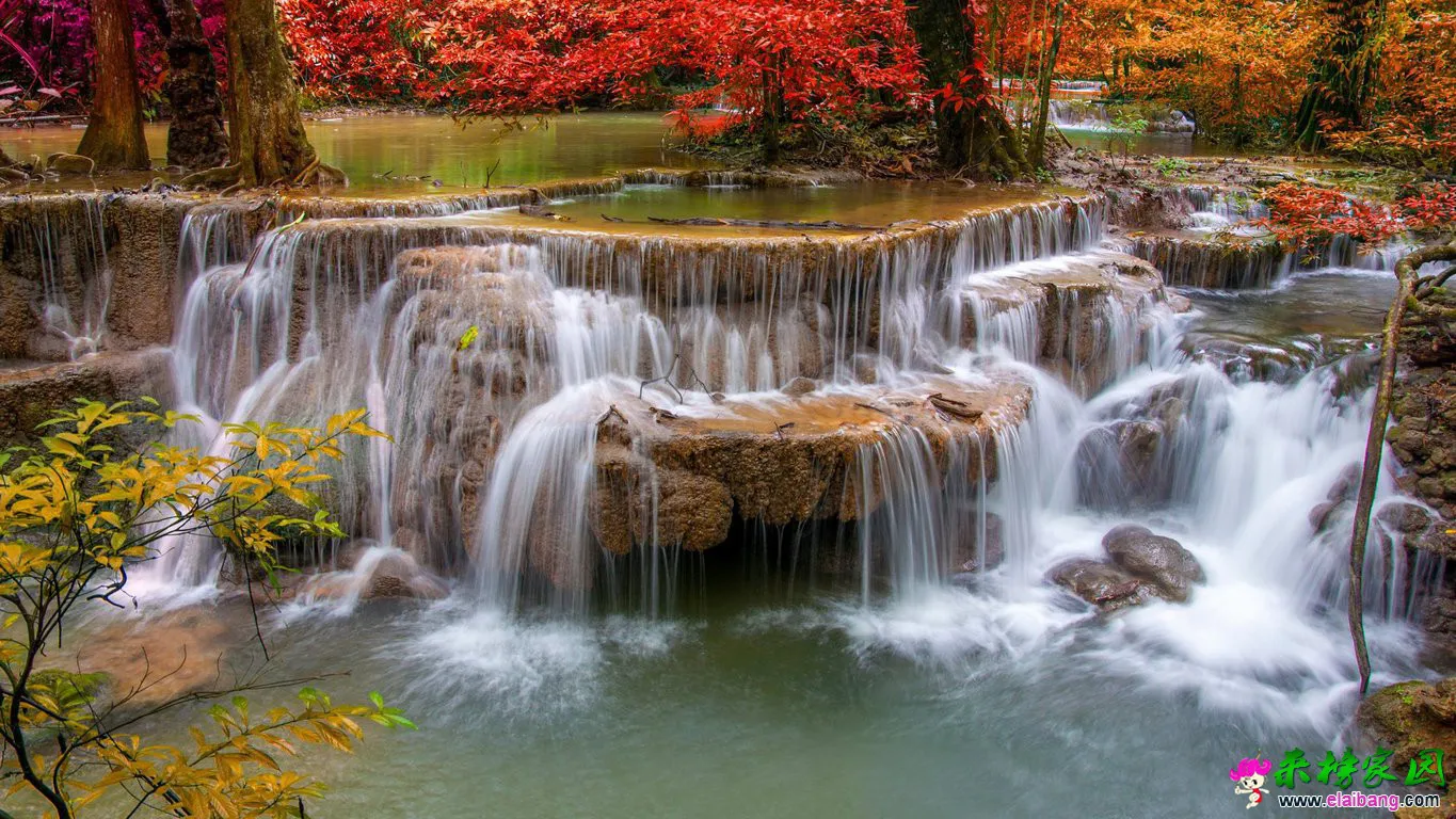 t01c678320cdb8f6ce8.webp