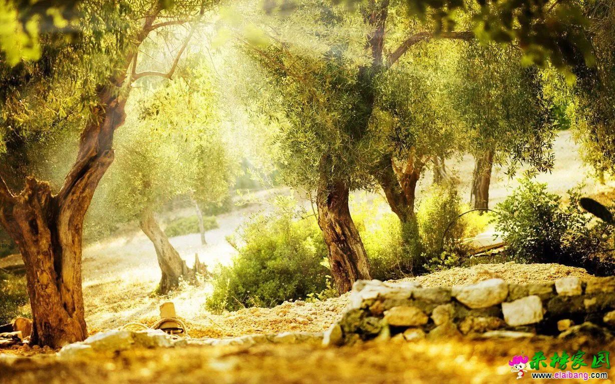 t017a4cc9b11df74e0c.webp