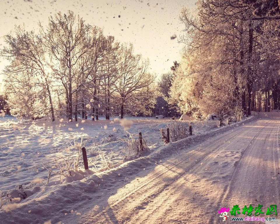 t018f85a7c8c788c71d.webp