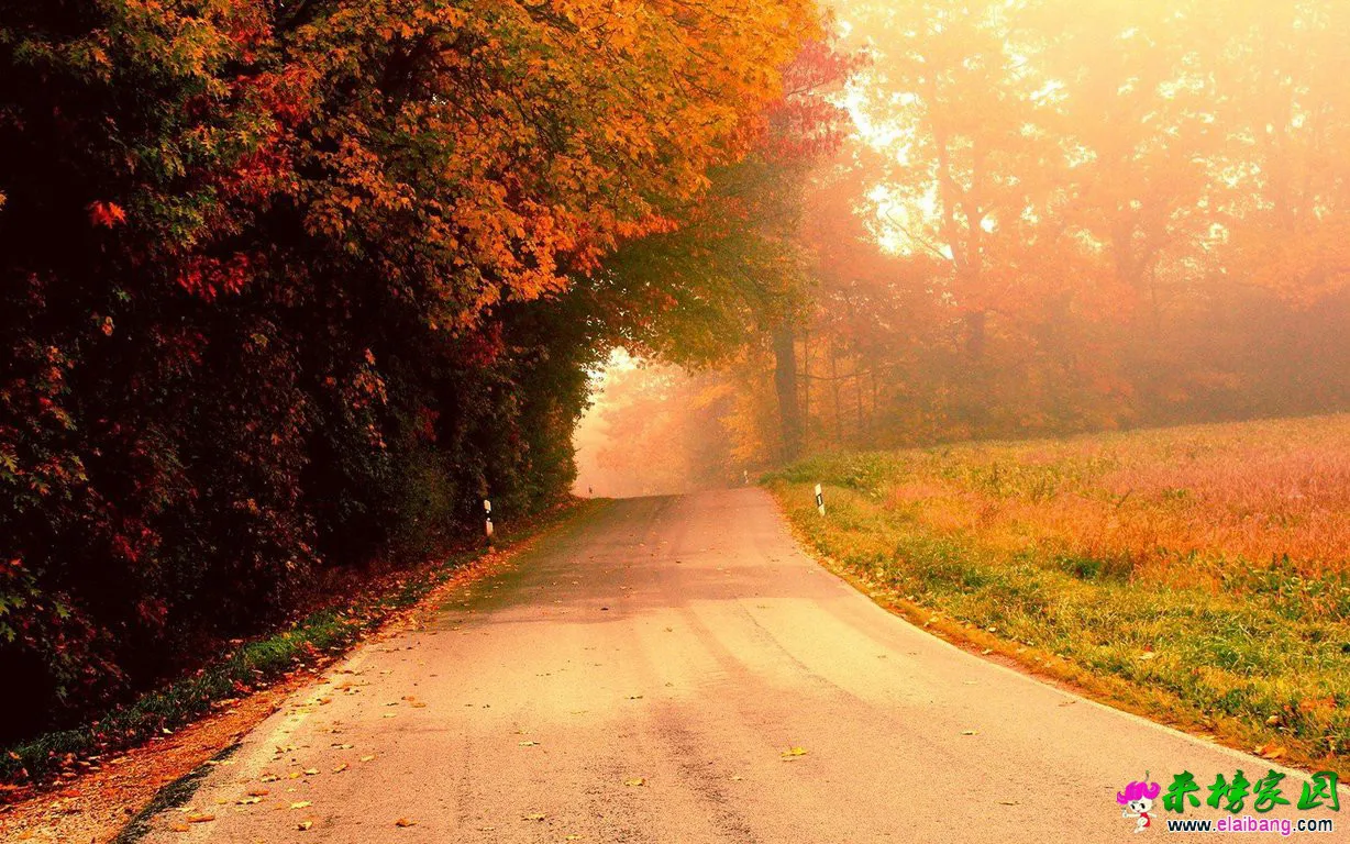 t0124c1c7651edceb4a.webp