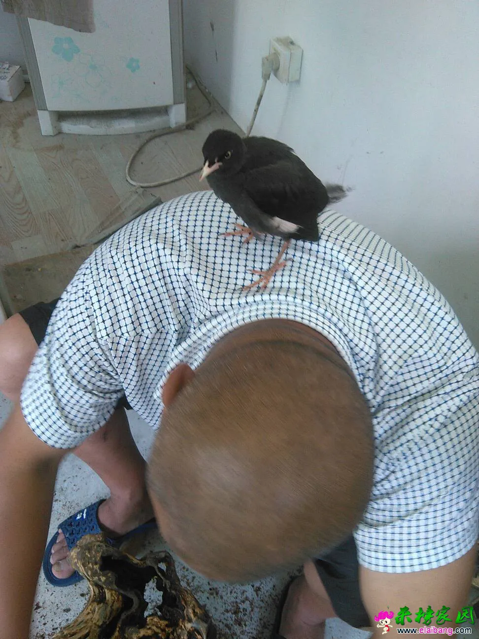 123955ijrd3hw4mgeui1le.webp
