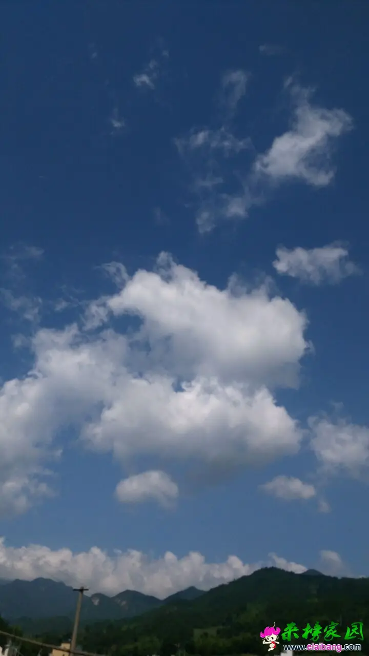 QQ图片200201010924471.webp