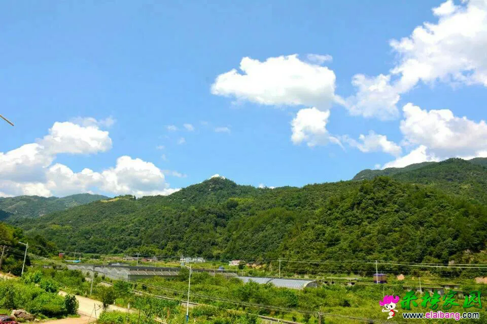 171120wocpi14fxrrcf0b0.webp