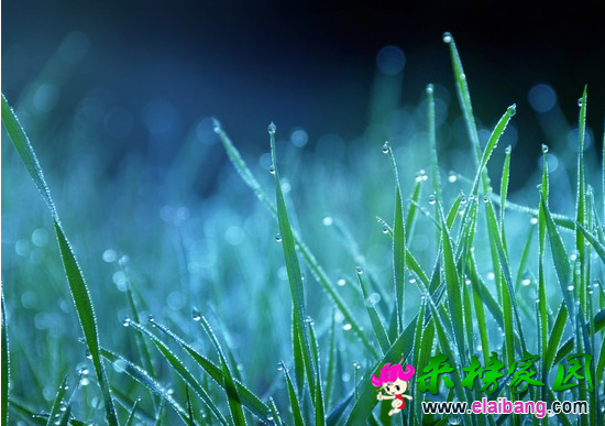 QQ截图20160814102411.png