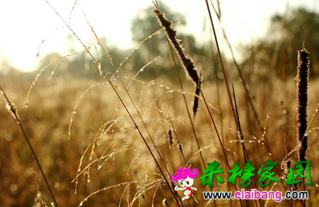 QQ截图20160814102233.png