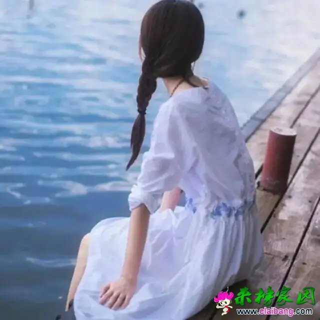 135772.webp