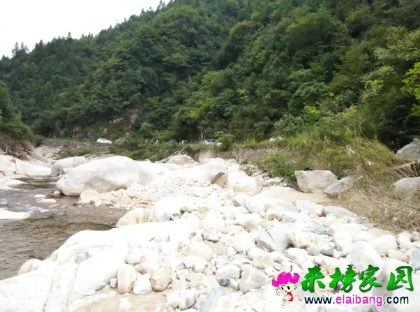 QQ图片20160815153142.webp