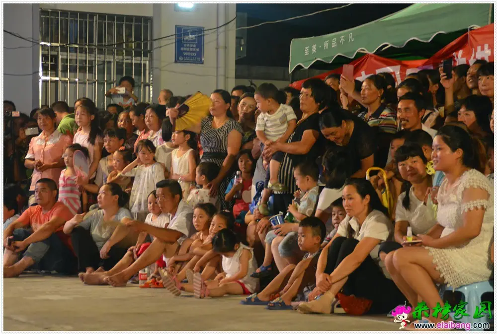 _DSC0229.webp