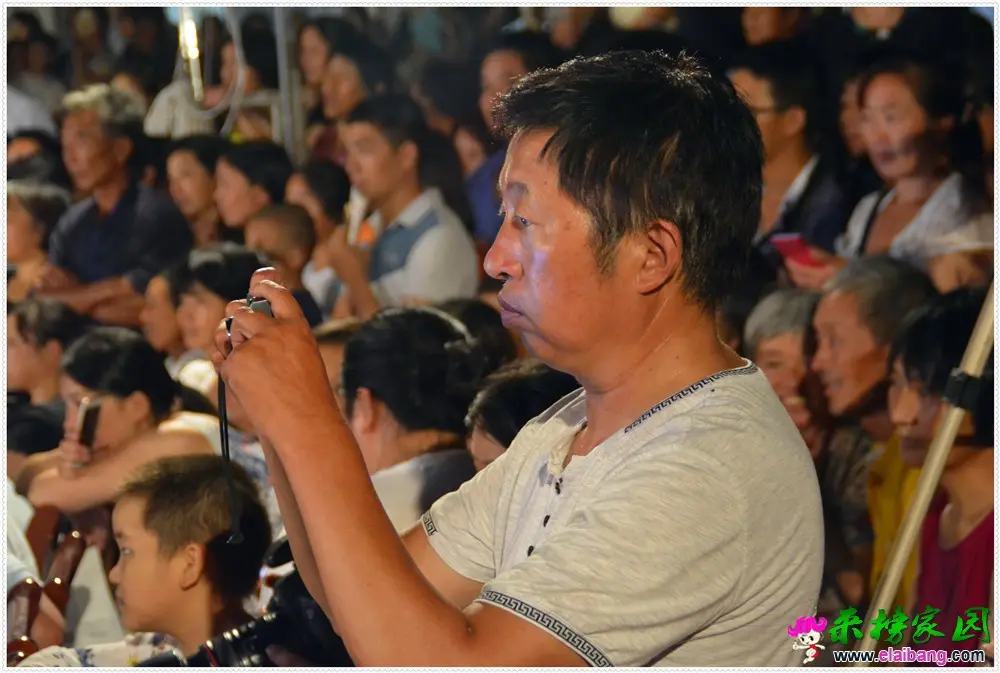 _DSC0403.webp