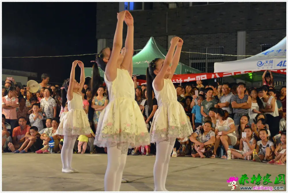 _DSC0310.webp