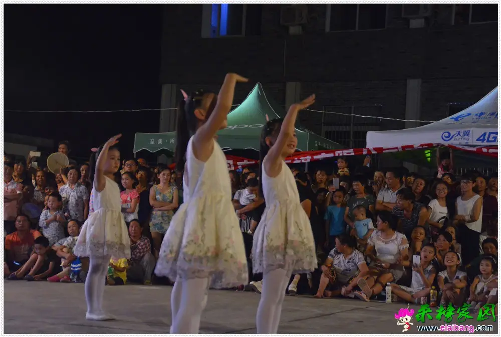 _DSC0312.webp