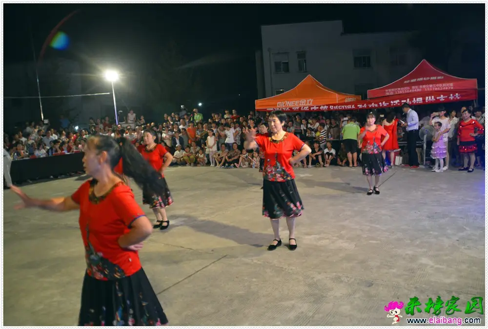 _DSC0469.webp