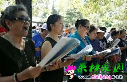 QQ图片20160819193048.webp
