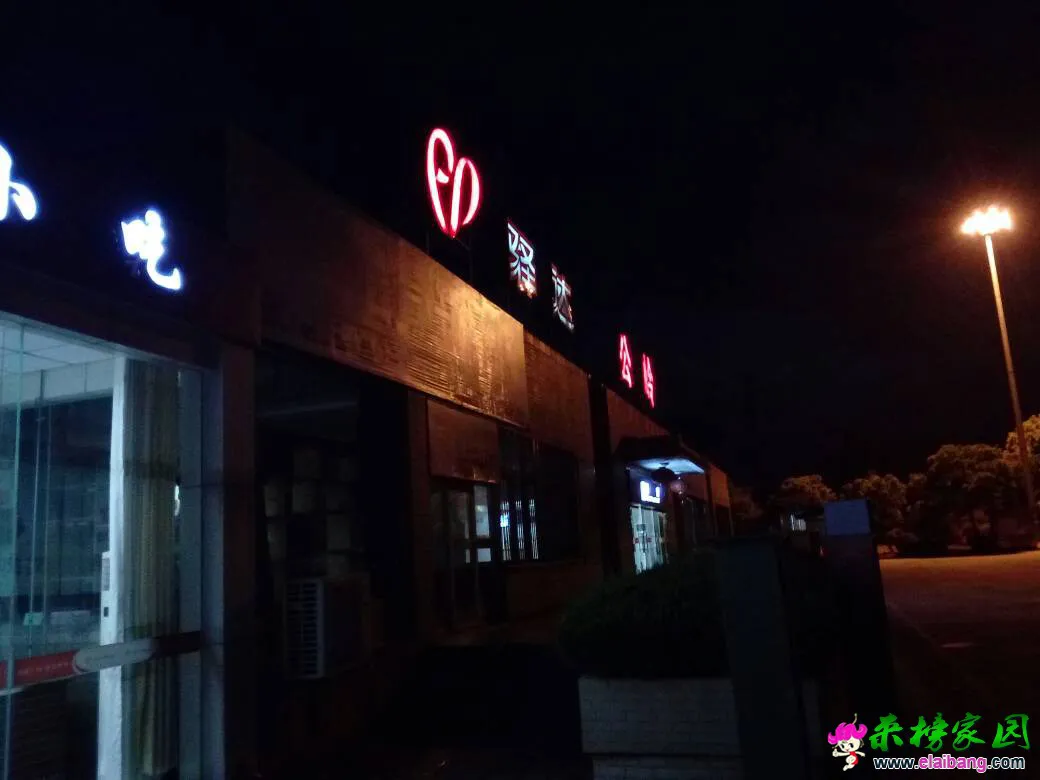 204717mh3dft3pdogoutfd.webp