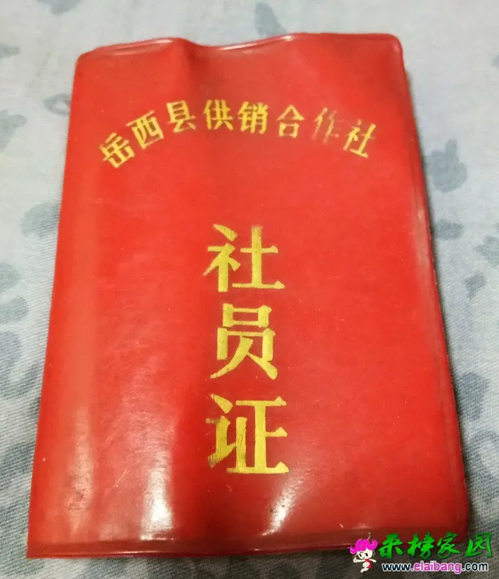 IMG_20160818_211554_调整大小.webp