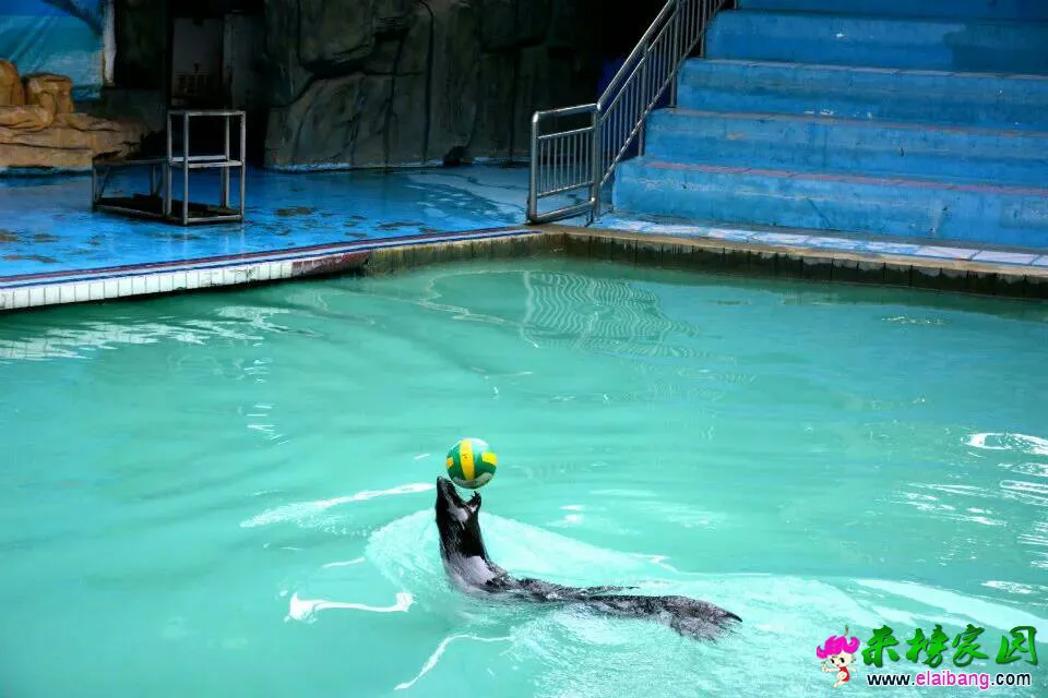 074202f3603ydlcjyl5p3j.webp
